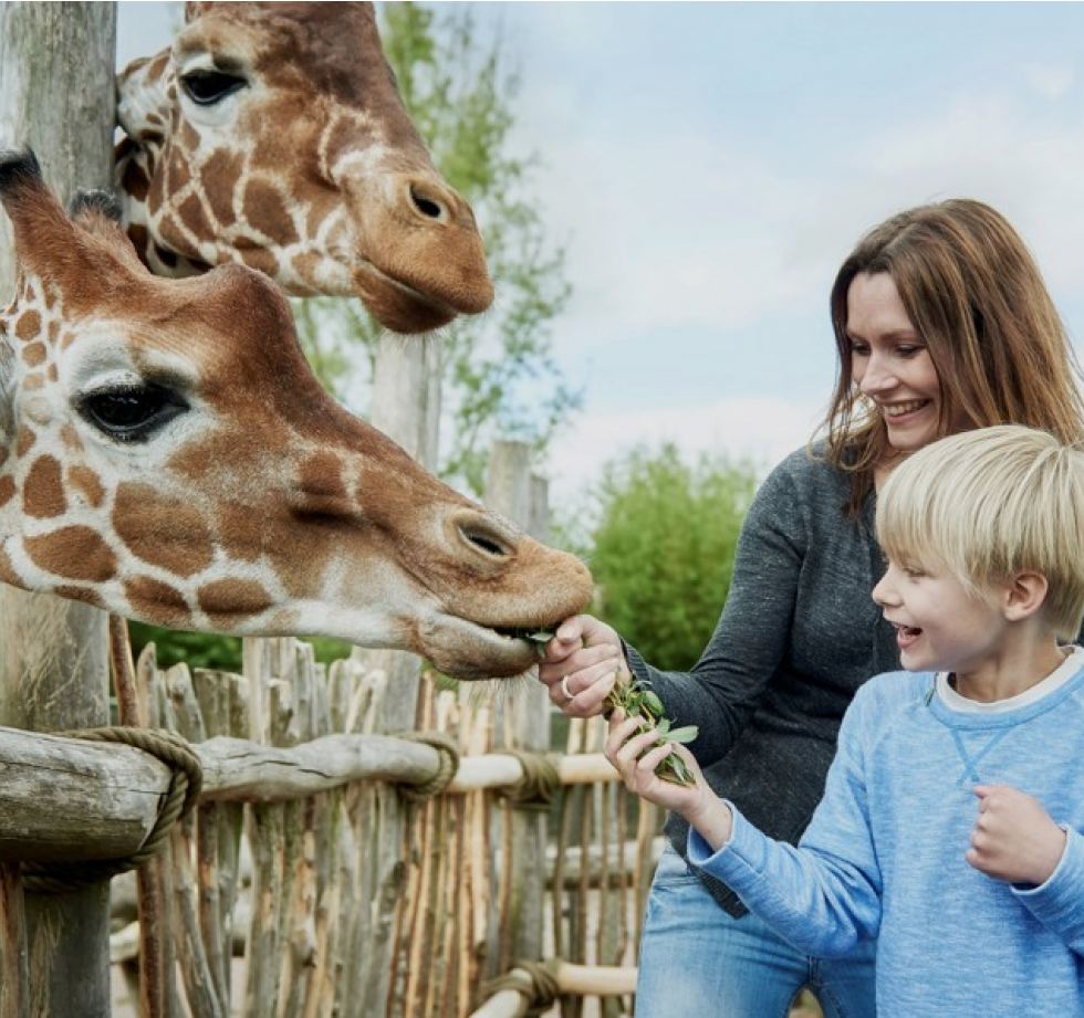 Nyt website til Odense ZOO