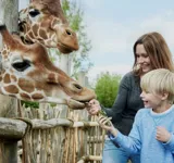 Nyt website til Odense ZOO