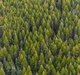 Det digitale produktpas