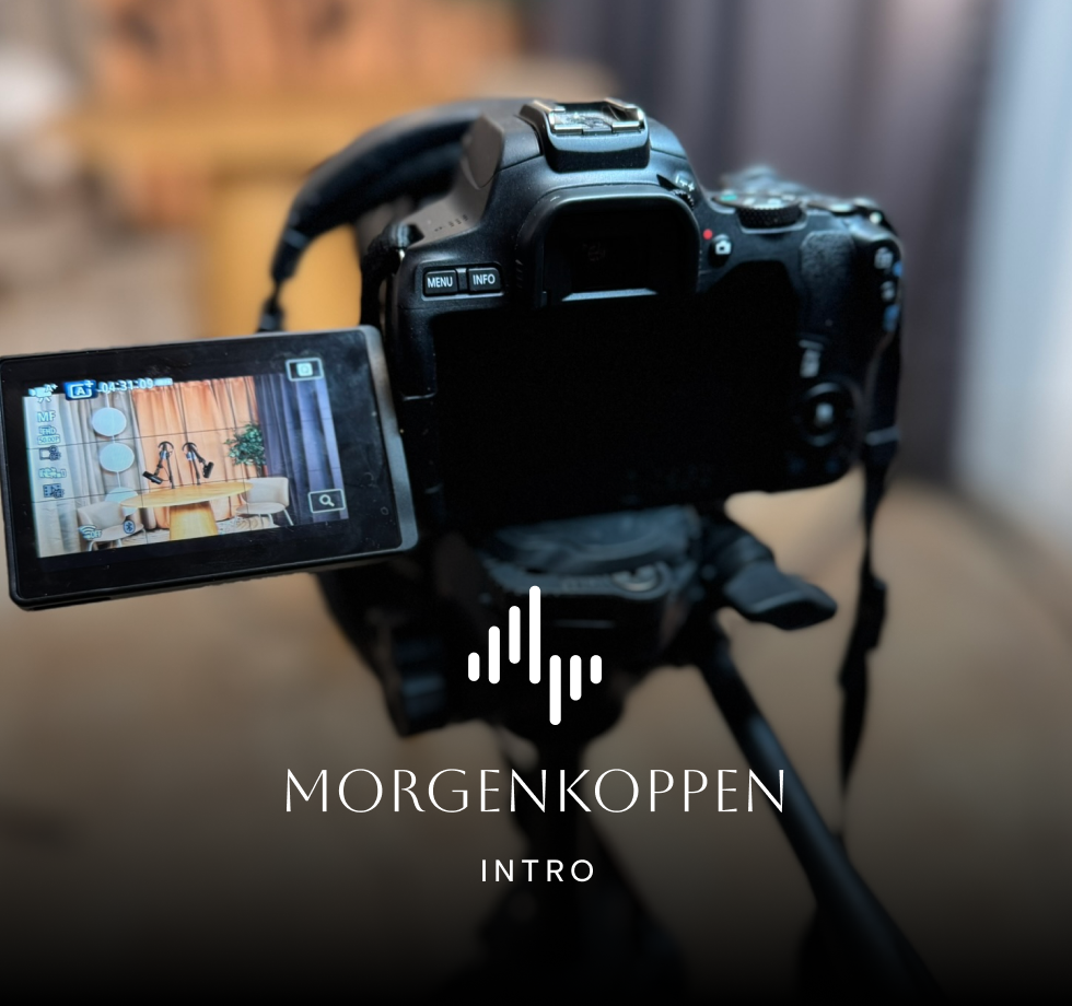 Digital strategi for mellemstore og store virksomheder