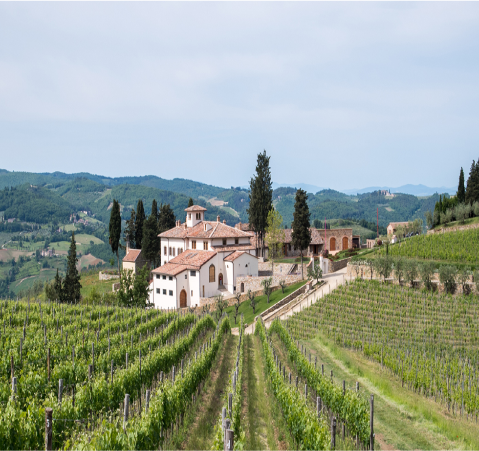 Varmt velkommen til Vinens Verden