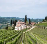 Varmt velkommen til Vinens Verden